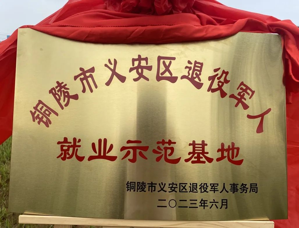 币游·国际(中国游)官方网站
