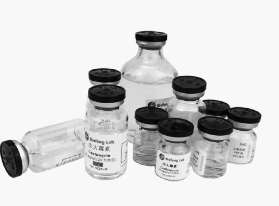 币游·国际(中国游)官方网站